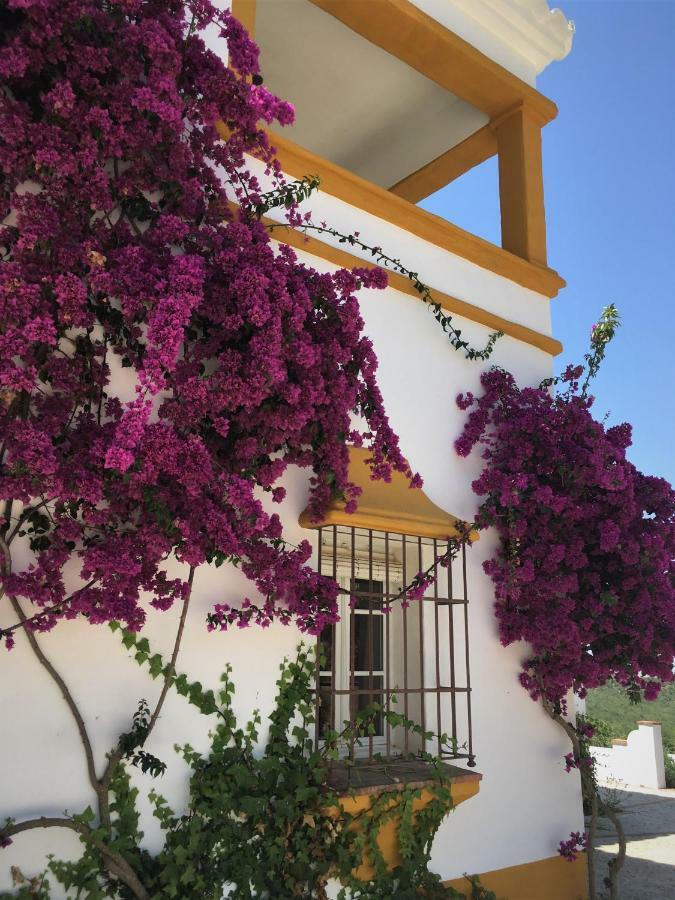 Hacienda La Morena Montellano Εξωτερικό φωτογραφία
