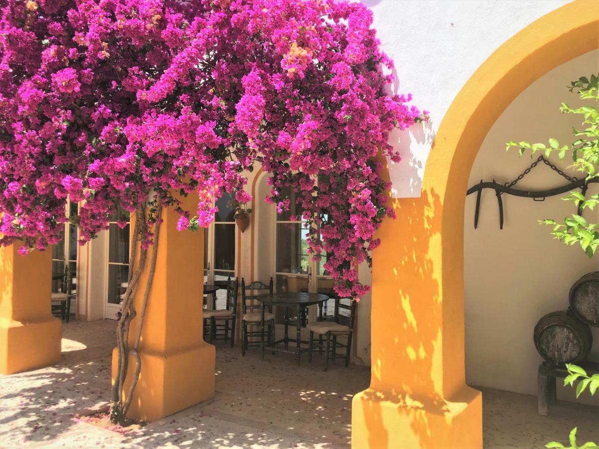 Hacienda La Morena Montellano Εξωτερικό φωτογραφία