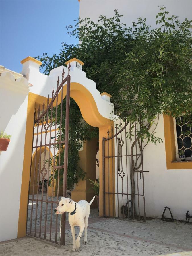 Hacienda La Morena Montellano Εξωτερικό φωτογραφία