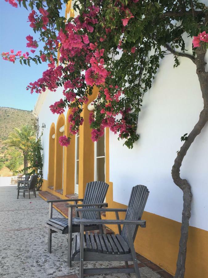 Hacienda La Morena Montellano Εξωτερικό φωτογραφία
