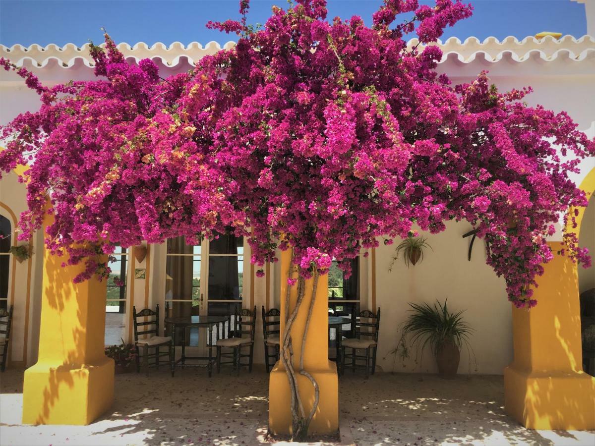 Hacienda La Morena Montellano Εξωτερικό φωτογραφία
