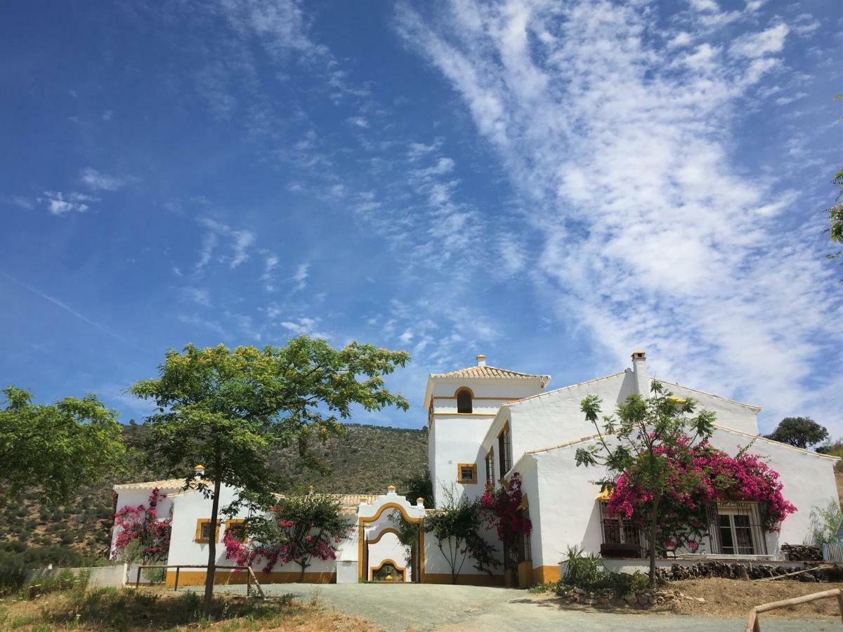 Hacienda La Morena Montellano Εξωτερικό φωτογραφία