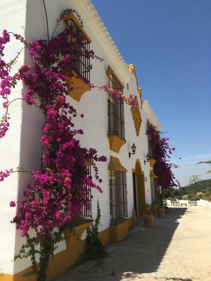Hacienda La Morena Montellano Εξωτερικό φωτογραφία